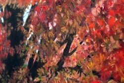 Close up of painted red leaves on canvas