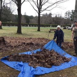 Volunteers rake leaves into a tarp