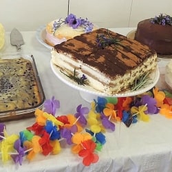 A table displaying a variety of cakes
