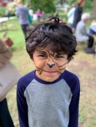 A child with his face painted as a cat