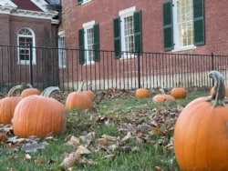A field of pumpkins outside the church